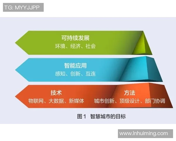 西安篮球队战术解析：从进攻到防守的全面剖析与展望